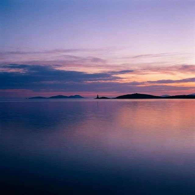 Reflective Nature Path